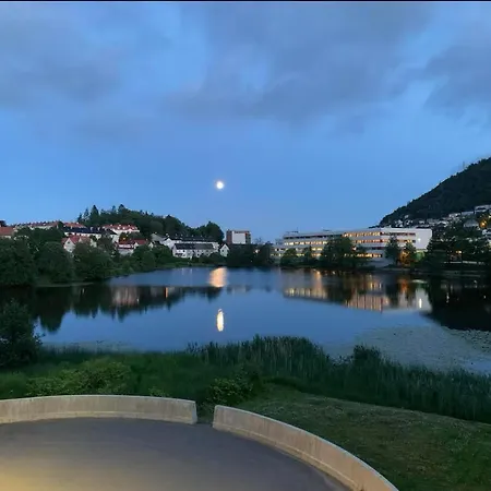 2 Bedroom, View, Light Rail, 公寓 卑爾根
