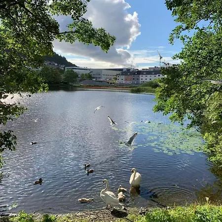 2 Bedroom, View, Light Rail, * 卑爾根